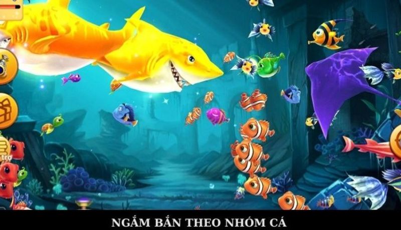 Tổng quan về Bắn Cá Đổi Thưởng Online Rikvip